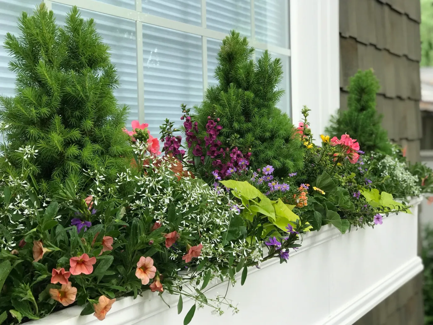 Window Boxes 101: How to Add Flower Boxes for Instant Curb Appeal — Contained Creations