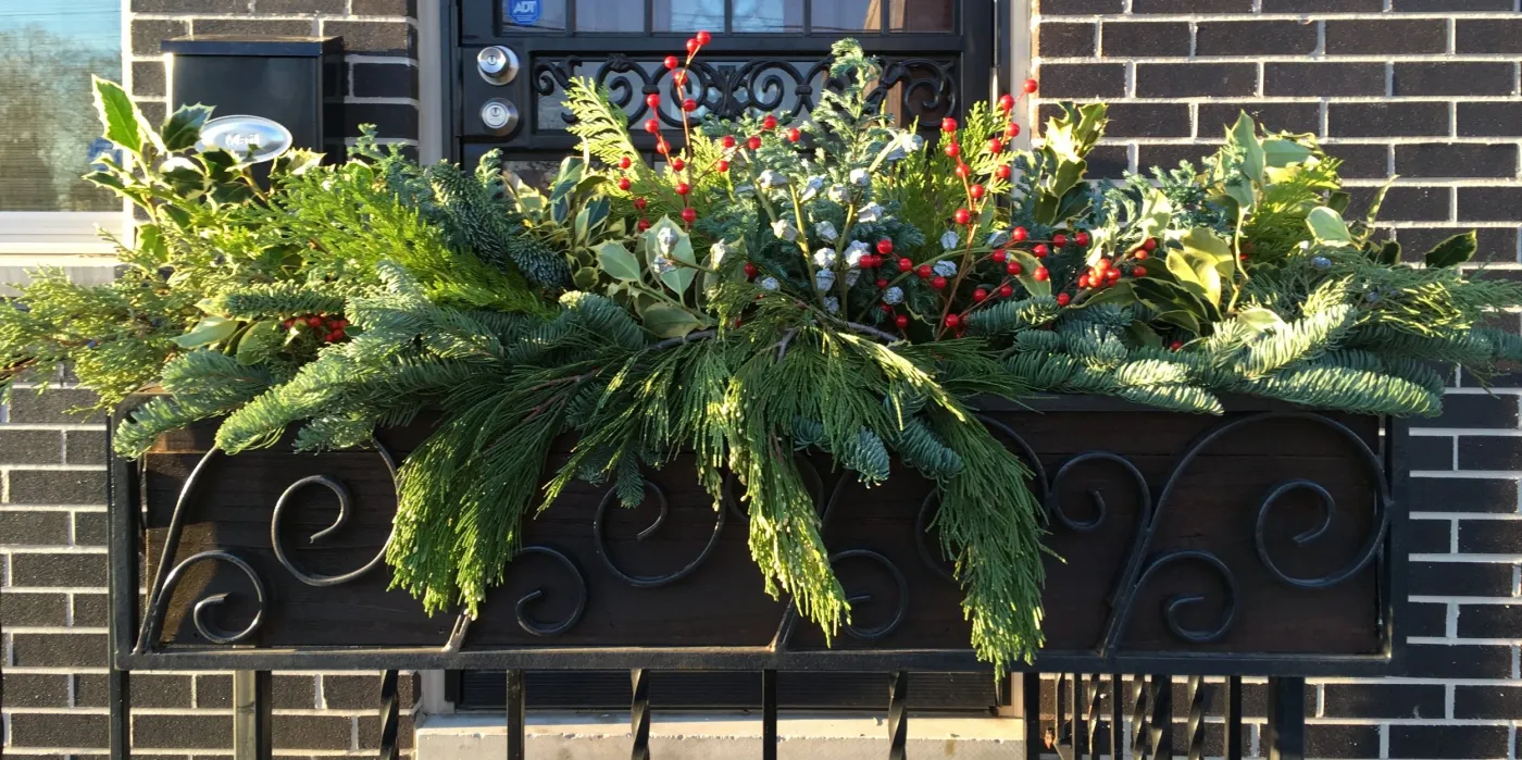 Window Boxes — City Planter