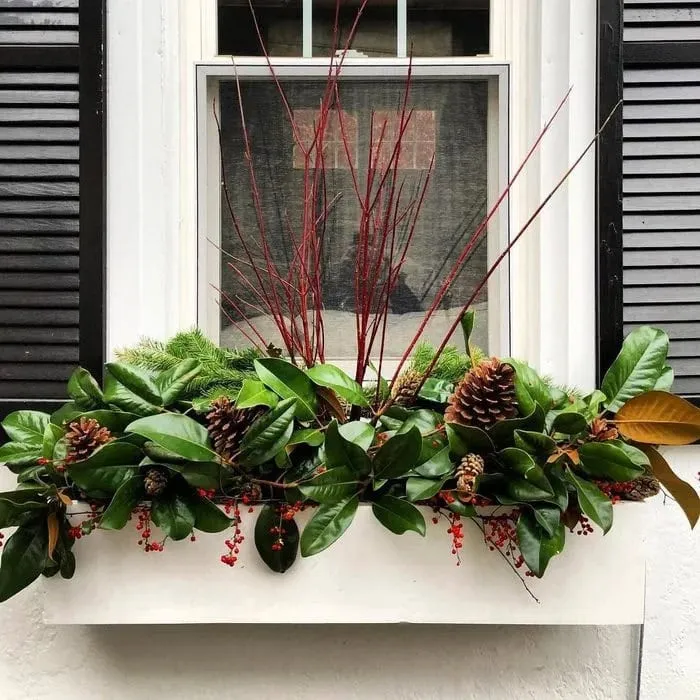 Winter Window Box Ideas Story - A Blissful Nest