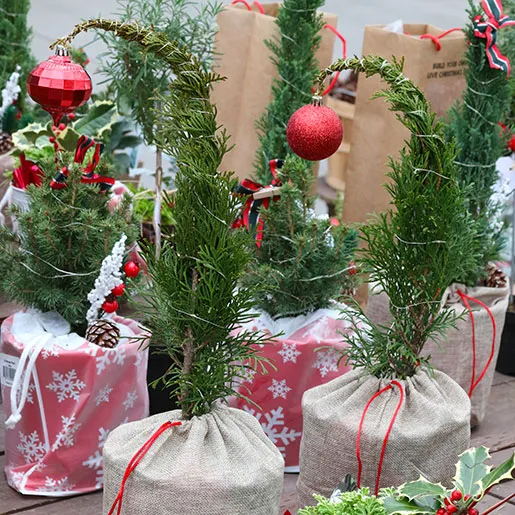 Wreaths & Greenery - Sky Nursery